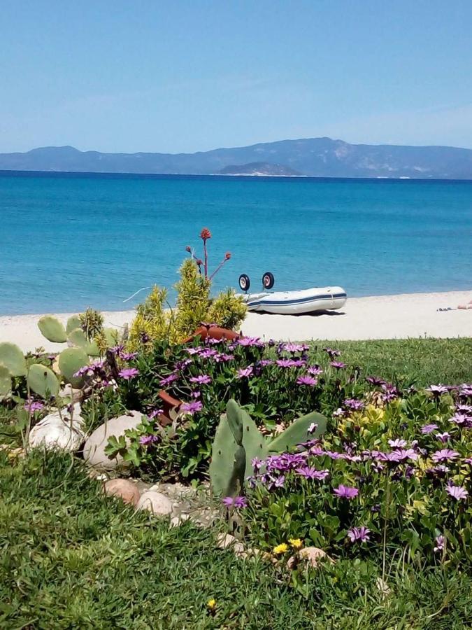 Cozy Maisonette In Pefkochori Chalkidiki Екстер'єр фото
