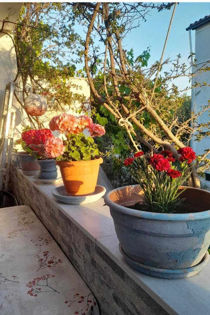 Cozy Maisonette In Pefkochori Chalkidiki Екстер'єр фото